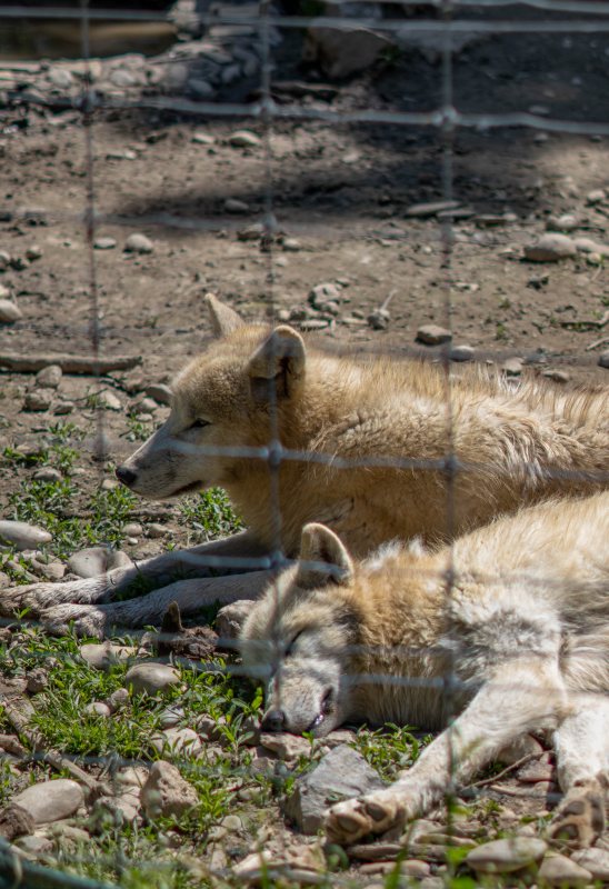 A quiet moment