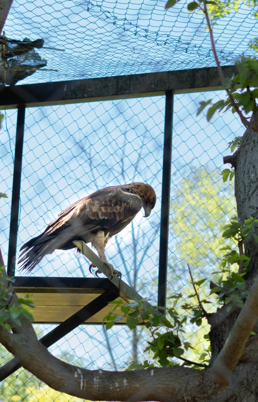 On a perch