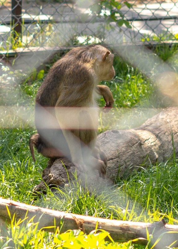 In the afternoon sun